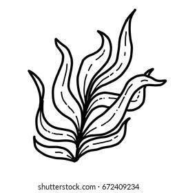 Hand Drawn Seaweed