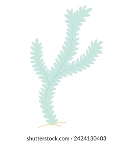 Hand drawn seaweed, cartoon flat vector illustration isolated on white isolated background. Underwater botanical greenery design element. Algae flat vector illustration modern design isolated on white