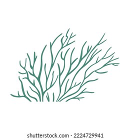 Hand drawn seaweed or coral reef element, cartoon flat vector illustration isolated on white background. Green plant with leaves. Sea bottom drawing.