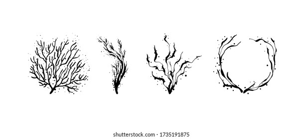 Hand drawn seaweed, corals. Outline design with dots.