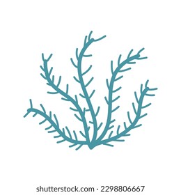 hand drawn seaweed corals shells