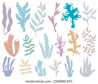 Hand drawn seaweed and underwater plants set. Colorful algae of ocean, sea or river. Abstract herbs and greenery of underwater world, isolated vector illustration