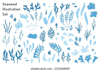 hand drawn seaweeds and sea life illustration