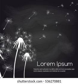 Hand drawn seeds and dandelions blackboard background. Vector illustration with text