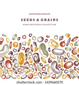 Hand drawn seeds and grains design. Vector food background in engraved style. High detailed vegetarian products template. Great for packaging, menu, label, icon. Vintage cereal crops outlines.