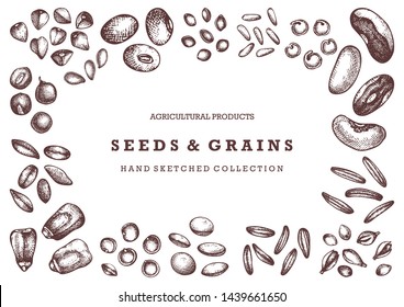 Hand drawn seeds   grains design  Vector food background in engraved style  High detailed vegetarian products template  Great for packaging  menu  label  icon  Vintage cereal crops outlines 