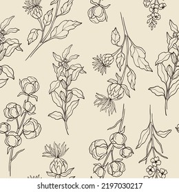 Hand drawn sesame, safflower, canola, cotton seamless pattern