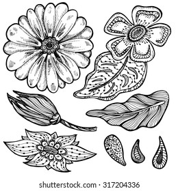hand drawn set of abstract flowers in doodle technique. black isolate line art.