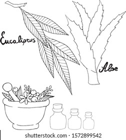 Hand drawn set of aloe, eucalyptus, potion bottles and mortar and pestle whith herbs. Natural medicine, ayurveda. Vector illustration black outlines isolated on white background.