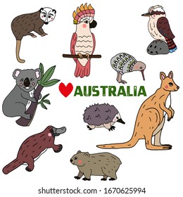 Handgezeichnete Reihe australischer Tiere: Opossum, Kangaroo, Cockatoo, Koala, Kiwi, Kookaburra, Echoidna, Platypus, 
Wombat. Einzige Objekte auf weißem Hintergrund. Cartoon kreative Figuren.