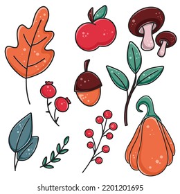 Hand drawn set autumn elements for creating designs. Natural fall attributes isolated vector illustration. Acorn, apple, leaves, herbs, berries, pumpkin and mushrooms cartoon