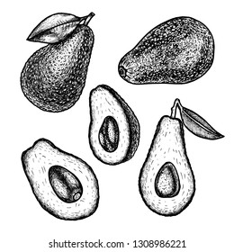 Hand drawn set of avocado. Retro isolated sketches. Vintage collection. Linear graphic design. Slices of avocado with leaf. Black and white image of fruit. Vector illustration.