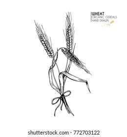 Hand drawn set of bakery. Wheat ear. Barley, rye grain. Vector engraved illustration. Vintage art isolated on white. Cereal set. For restaurant, menu, street food, bakery, cafe, logo, flyer, banner