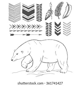 hand drawn set of bear, feathers and arrows 