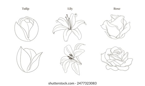 Hand drawn a set of beautiful flowers 1