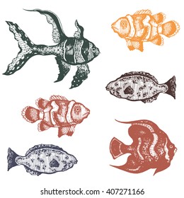 hand drawn set of beautiful tropical fishes vector illustration