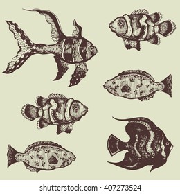 hand drawn set of beautiful tropical fishes vector illustration
