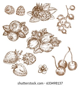 handgezogene Beeren
