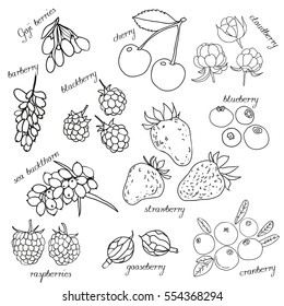 Hand drawn set of  berries. Cranberry,cloudberry,Goji berries, strawberry,blackberry, blueberry, goose berry, barberry