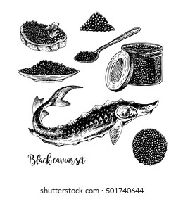 Hand drawn set of black caviar. Retro sketches isolated. Vintage hypster collection. Doodle line graphic design. Black and white drawing fish sturgeon jar spoon plate sandwich. Vector illustration.