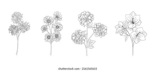 hand drawn set of black and white floral outlines. hand drawn flower stalk. Design elements for greeting cards and invitations