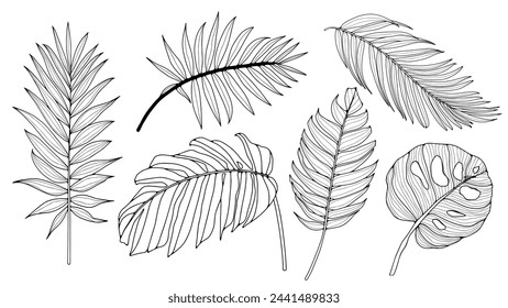 Hand drawn set of black and white tropical leaves and plants. Contours of tropical leaves isolated on a white background. Monstera leaves, fern, palm branches.