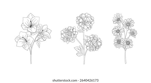 hand drawn set of black and white floral outlines.