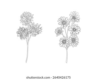 hand drawn set of black and white floral outlines.