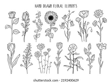 Juego de flores dibujado a mano. Colección de verano floral. Elementos de esbozo vectorial aislados en fondo blanco. Ilustración decorativa de doodle para tarjeta de saludo, invitación a la boda, tela
