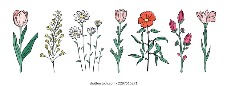 Hand drawn set of blooming flowers. Floral summer collection. Vector sketch elements isolated on white background. Decorative doodle illustration for greeting card, wedding invitation, fabric