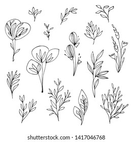 Hand drawn set of botanical drawings. Black and white doodles. Graphic design elements for patterns, cards, posters, logo design. Vector illustration. 