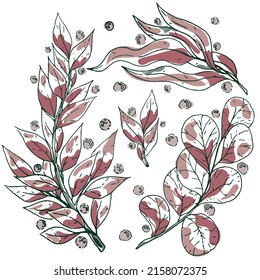 Hand drawn set of branches and leaves isolated on white background. Vector illustration in red-green colors. Design for logo, posters, invitation, greeting card.