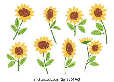 Hand drawn set of bright yellow sunflowers with green leaves in different positions on white background. This vector symbolizes summer warmth, happiness and natural beauty.