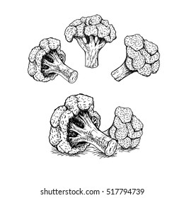 Hand drawn set of broccoli. Retro sketches isolated. Vintage collection. Linear graphic design. Black and white image of vegetables. Vector illustration.