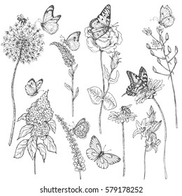 Hand drawn set of butterflies, bees and wildflowers.Set of monochrome  flying and sitting insects near the flowers. Black and white doodle floral elements. Vector sketch.