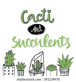 Hand drawn set of cacti and succulents with handwritten calligraphy