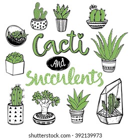 Hand drawn set of cacti and succulents with handwritten calligraphy