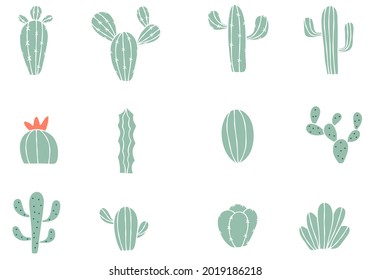 Conjunto de Cactus Cacti dibujado a mano
