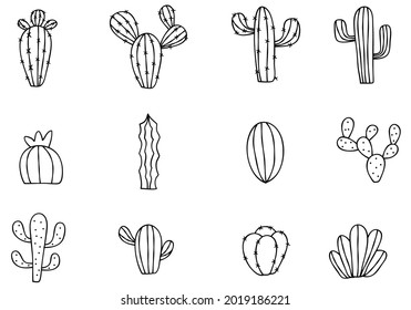 Hand Drawn Set of Cactus Cacti