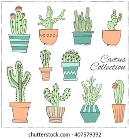 Hand drawn Set of Cactus in the pots. Isolated vector illustration for identity, design, decoration, packages product and interior decoration