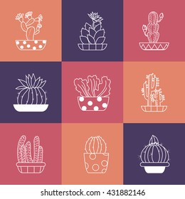 Hand drawn Set of Cactus in the pots. Line icons set. Illustration for poster and header, banner, icons and other flat design web elements