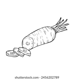 Hand drawn set of carrot. Doodle sketches isolated. Vintage collection. Linear graphic design. Black and white image of vegetables. Vector illustration.