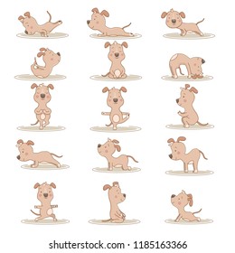 Hand drawn set of cartoon dogs doing yoga exercise. Animal healthy meditation and stretching asana collection. Vector outline illustration. Sport lifestyle. Fun pet sitting in fitness position.