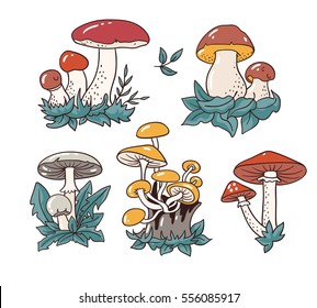 Hand drawn set with cartoon mushroom and toadstools. Vector illustration - isolated objects on the white background .