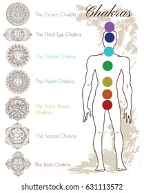 Hand drawn set with chakras and human silhouette. Graphic illustrations, vector doodle drawings