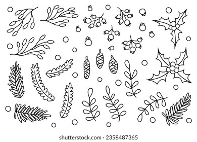 Hand drawn set of Christmas branches and berries. Vector elements isolated on white background. Holiday decorations.
