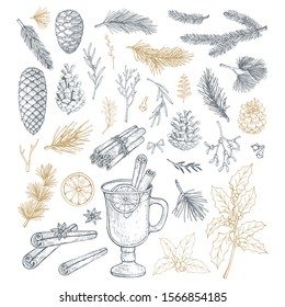 Hand drawn set with christmas elements, pine cones and branches. Vector illustrations