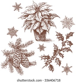 Hand drawn set of Christmas plants  and snowflakes isolated on white. Vector sketch.