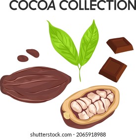Hand drawn set of cocoa beans, cocoa pod, chocolate pieces and leaf in cartoon style. Vector illustration.