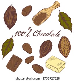 Hand drawn set of cocoa elements. For coffee shop, restaurant menu. Chocolate ingredient. Elements are isolated. Vector illustration.